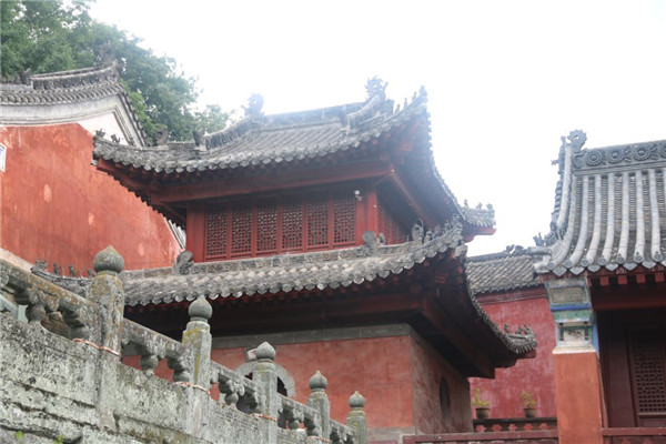 今泰裝飾出游記 | 我們有一千種姿勢(shì)玩出精彩！(圖5)