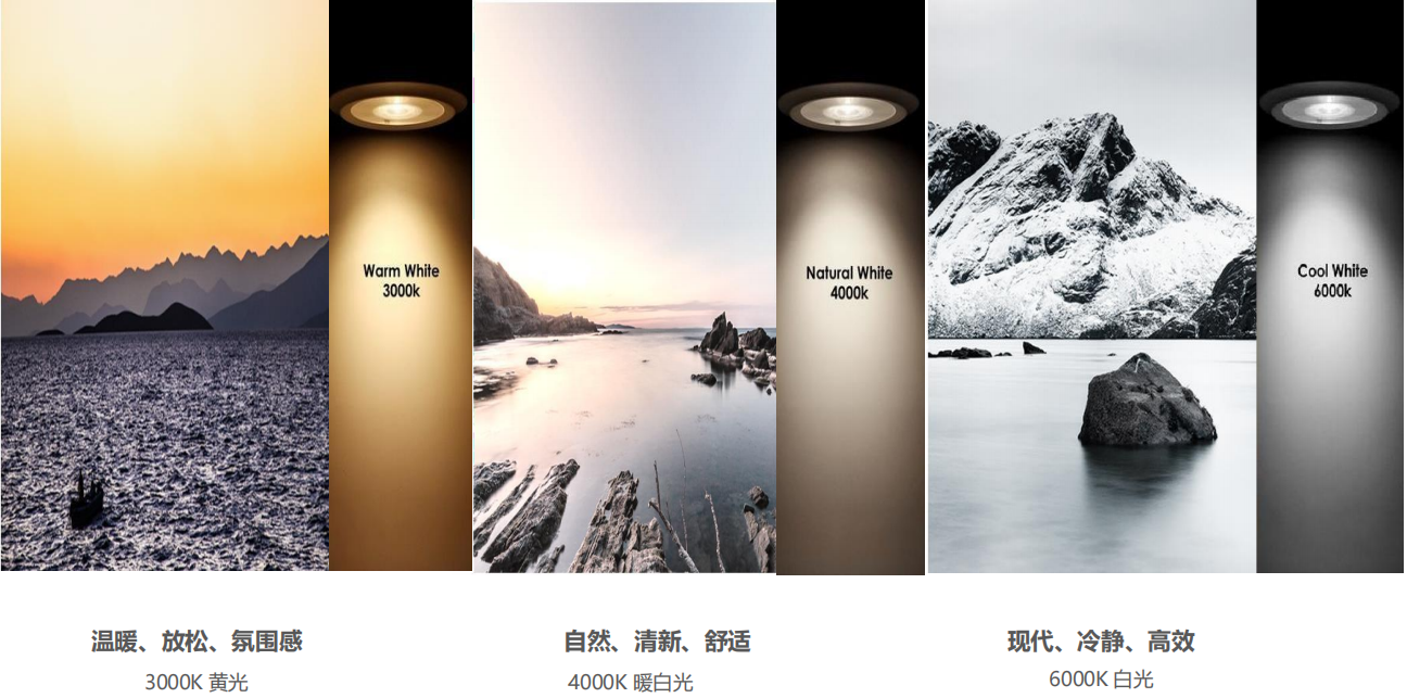 【設(shè)計案例】普照國康醫(yī)藥辦公室項目概念設(shè)計——以空間敘事，筑品牌基因(圖26)