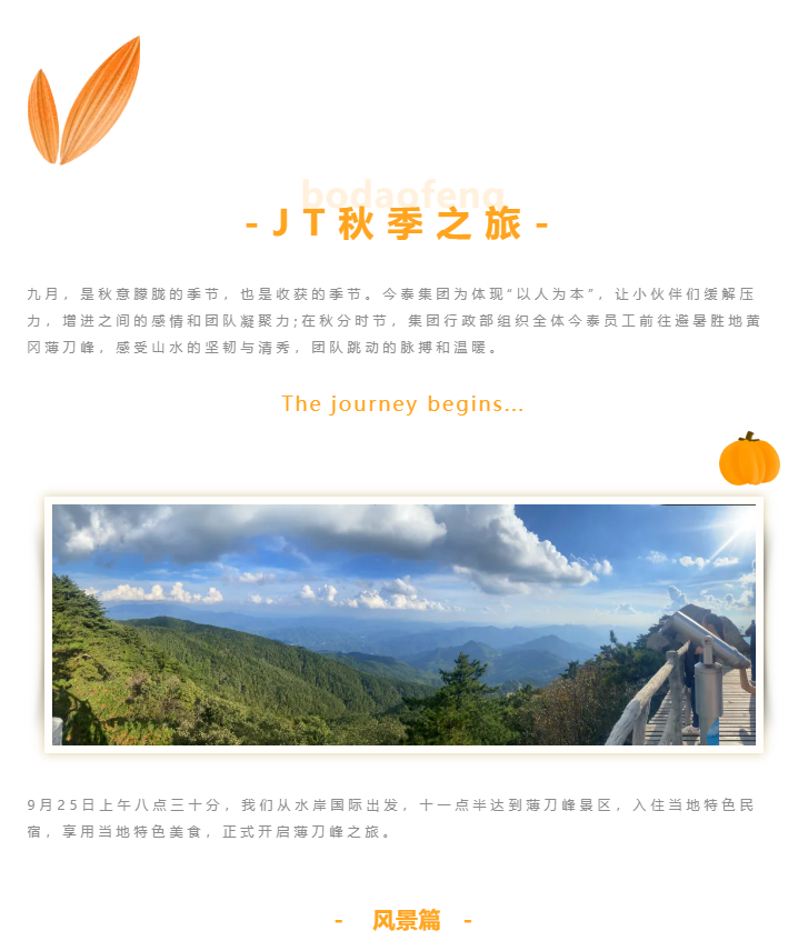 秋天了，來一場成年人的秋游吧(圖1)
