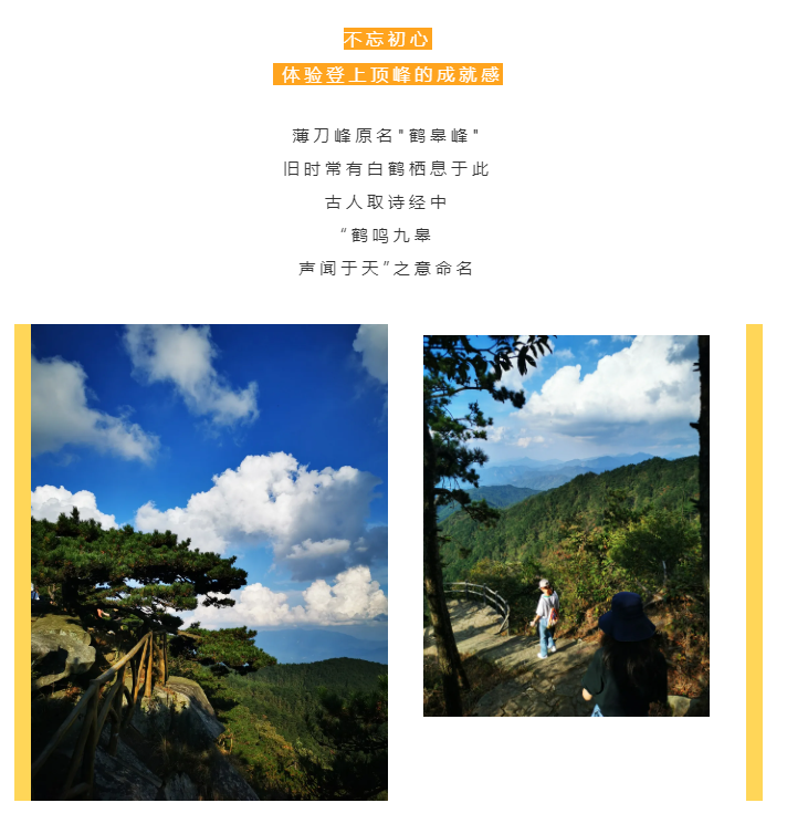 秋天了，來一場成年人的秋游吧(圖2)