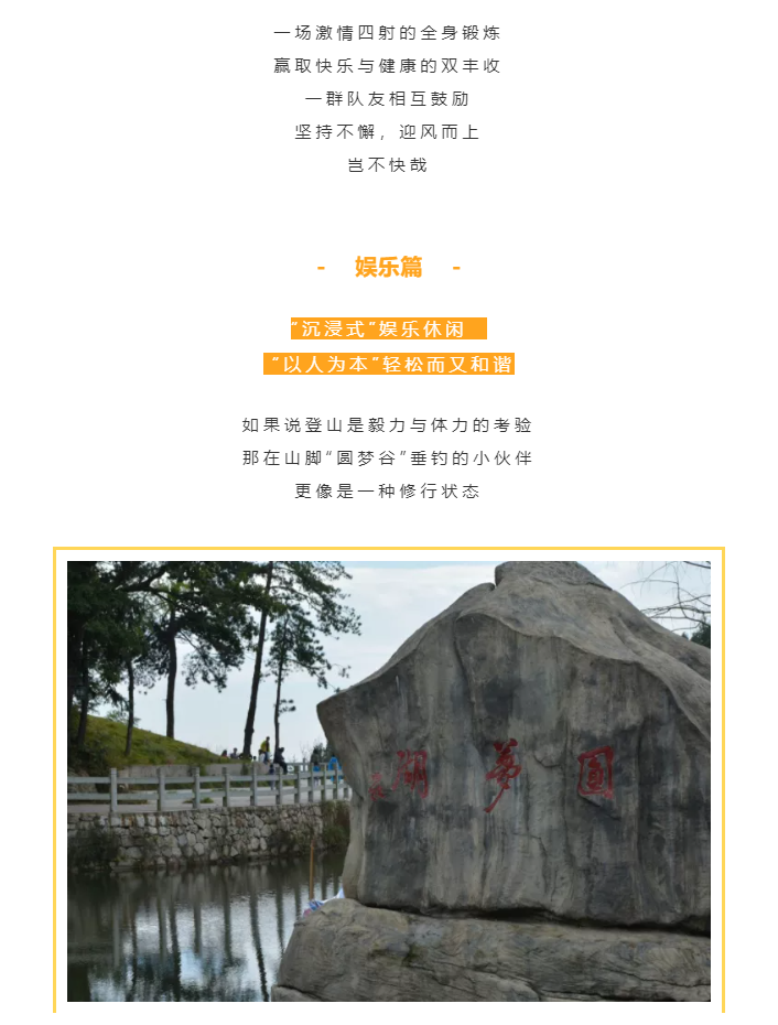 秋天了，來一場成年人的秋游吧(圖4)