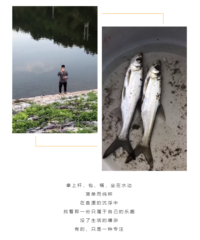 秋天了，來一場成年人的秋游吧(圖5)