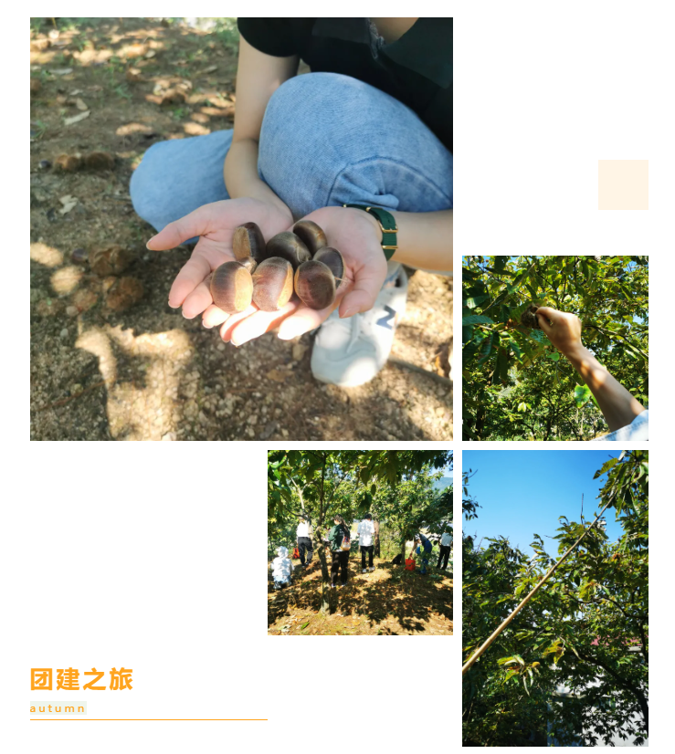 秋天了，來一場成年人的秋游吧(圖6)
